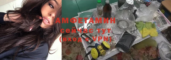 трава Алексин