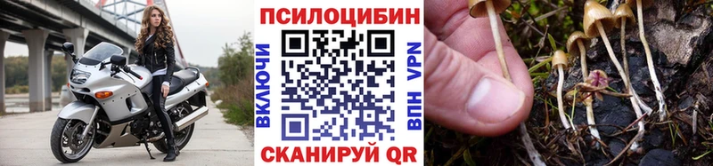 Псилоцибиновые грибы прущие грибы  Бахчисарай 